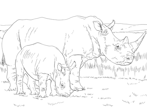 White Rhino Mother And Baby Coloring Page